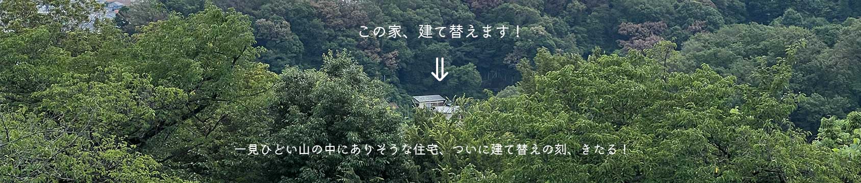 この家、建て替えます